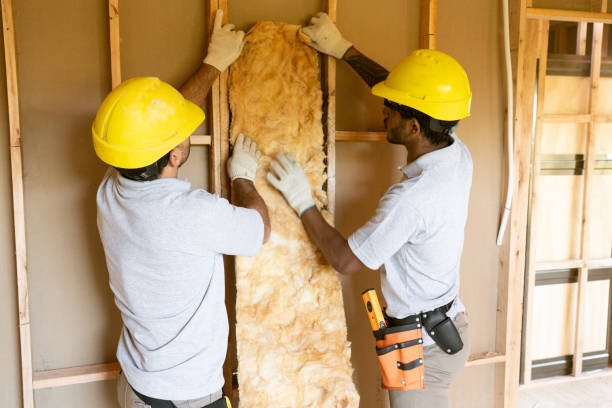 Best Spray Foam Insulation in Mosheim, TN